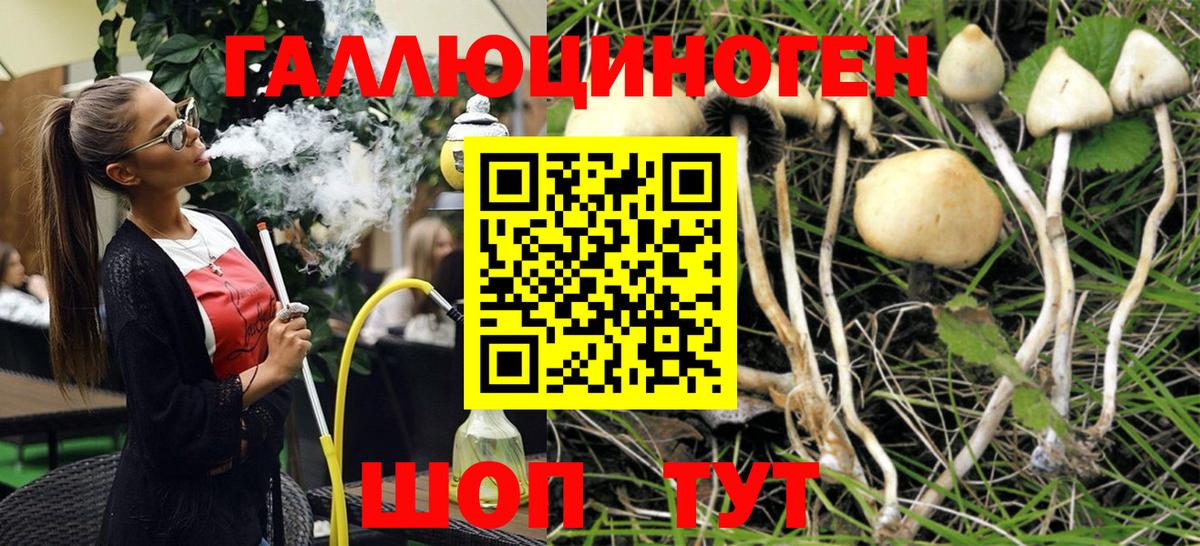 Псилоцибиновые грибы прущие грибы Бугульма