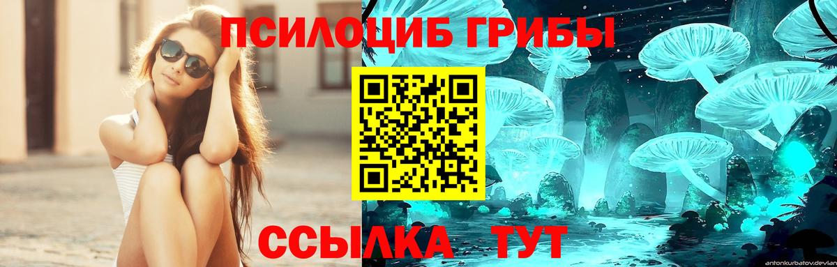 Бугульма  Псилоцибиновые грибы Magic Shrooms  Псилоцибиновые грибы Cubensis  магазин    Вход с VPN 